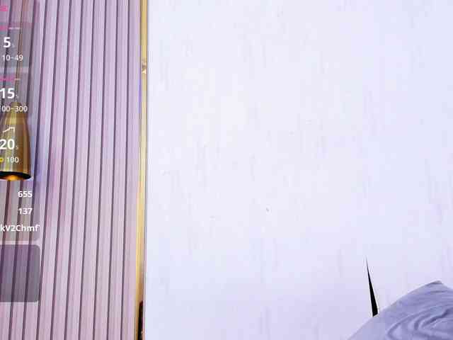 Skylar-Smith webcam