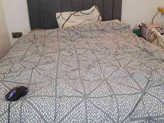 uk-bobbie-uk1 uk-bobbie-uk1