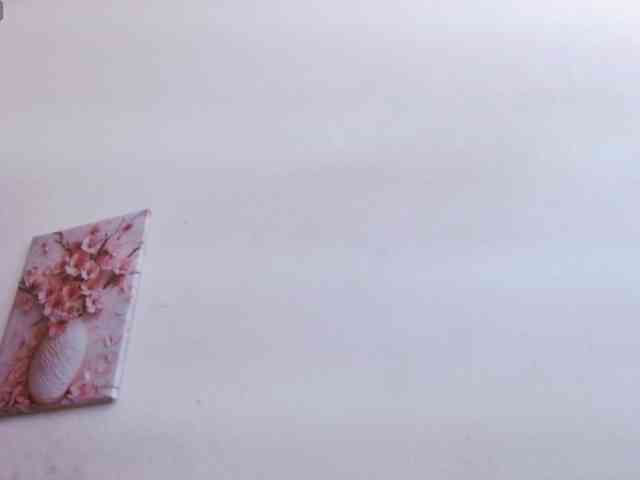 Lola-wish webcam