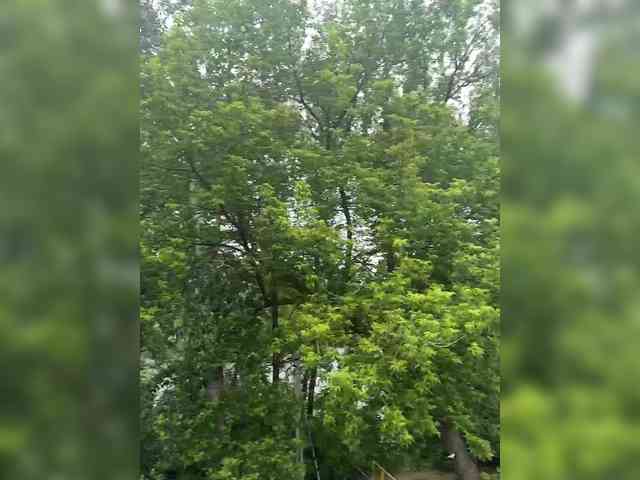 Xxxmissa69 Live Webcam on BongaCams Xxxmissa69 Live Webcam on BongaCams