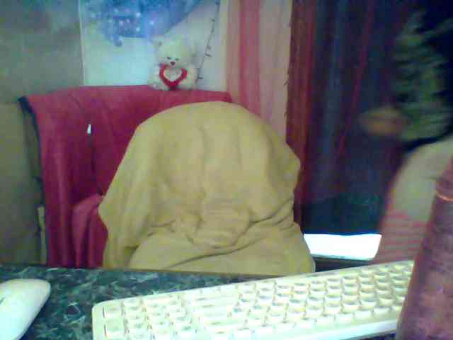 Mifika-1 webcam
