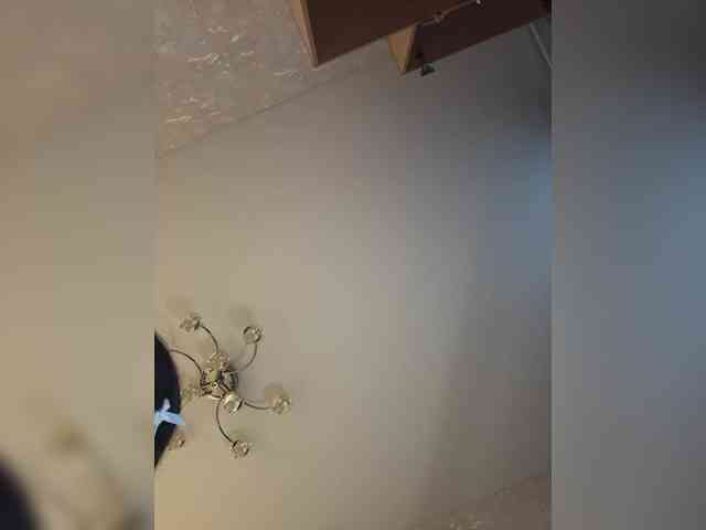 Tr1xie webcam