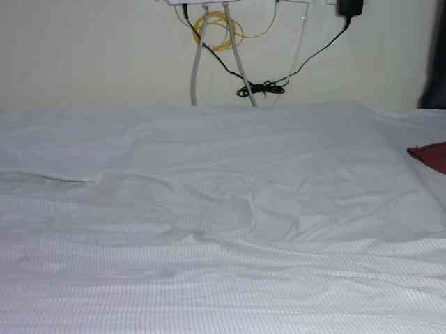 Hotzelda webcam