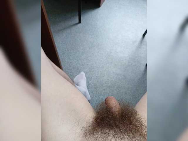 Hysta1