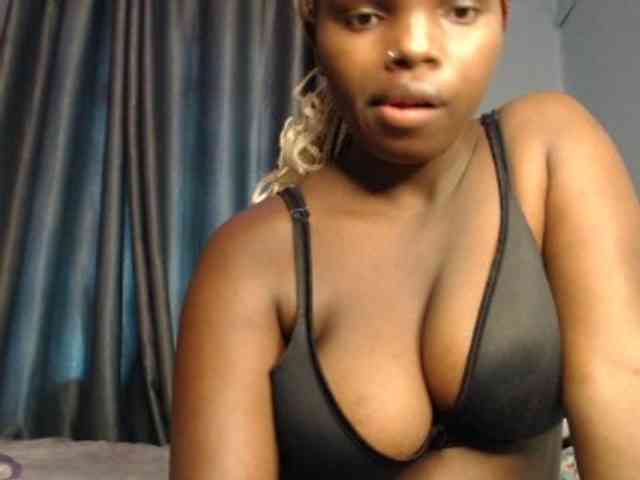 Wildcata webcam