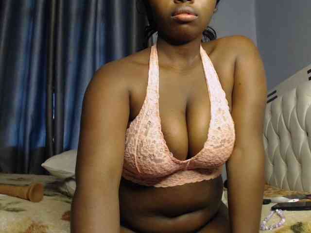 Wildcata webcam