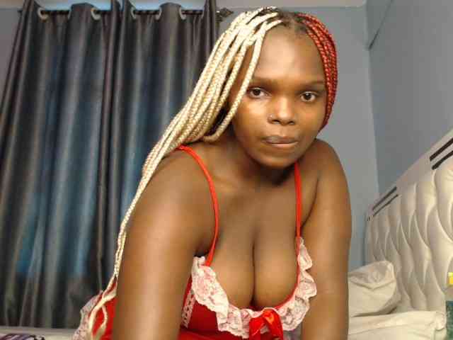 Wildcata webcam
