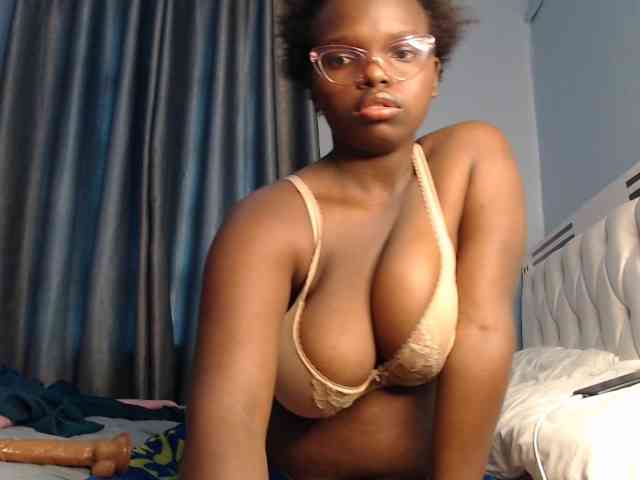 Wildcata webcam