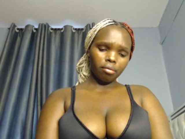 Wildcata webcam