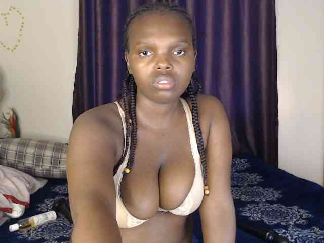 Wildcata webcam