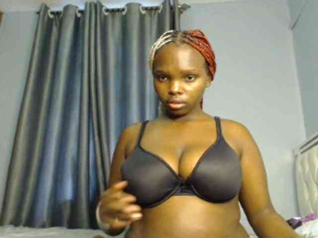 Wildcata webcam