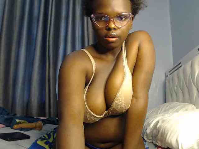 Wildcata webcam