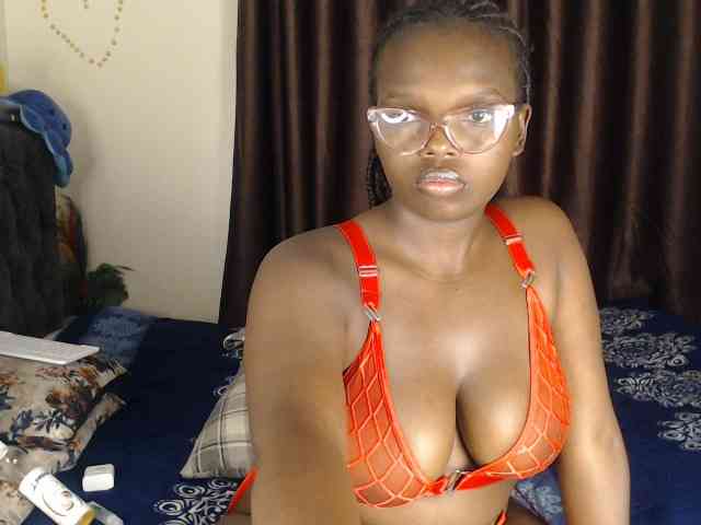 Wildcata webcam