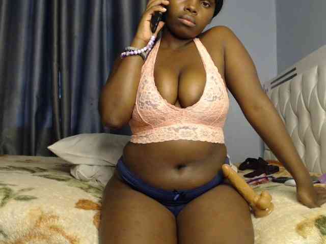 Wildcata webcam