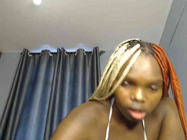 Wildcata webcam