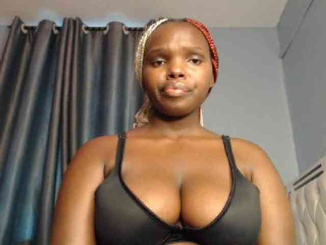Wildcata webcam