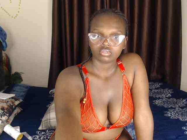 Wildcata webcam