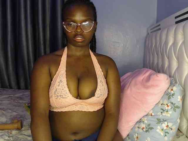 Wildcata webcam