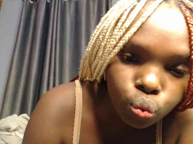 Wildcata webcam