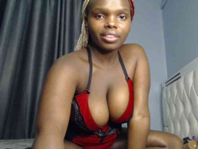 Wildcata webcam