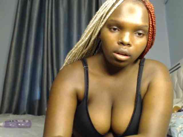 Wildcata webcam