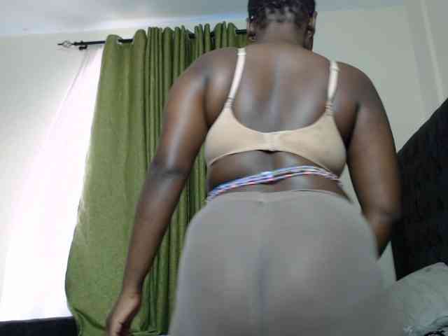 Wildcata webcam