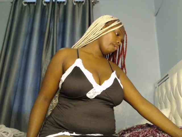 live webcam Wildcata