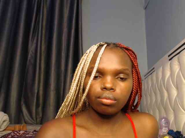 Wildcata webcam