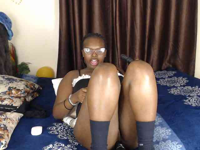 Wildcata webcam