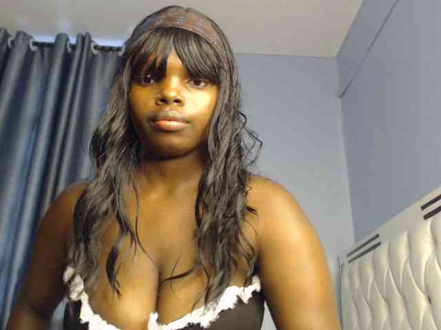 Wildcata webcam