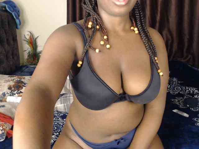 Wildcata webcam
