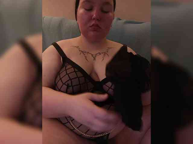 Giannaford webcam