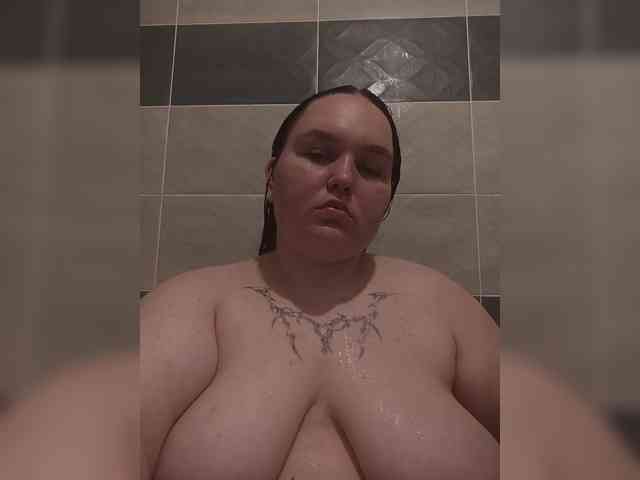 Giannaford webcam