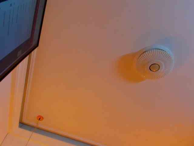 Tiffany-Baker webcam