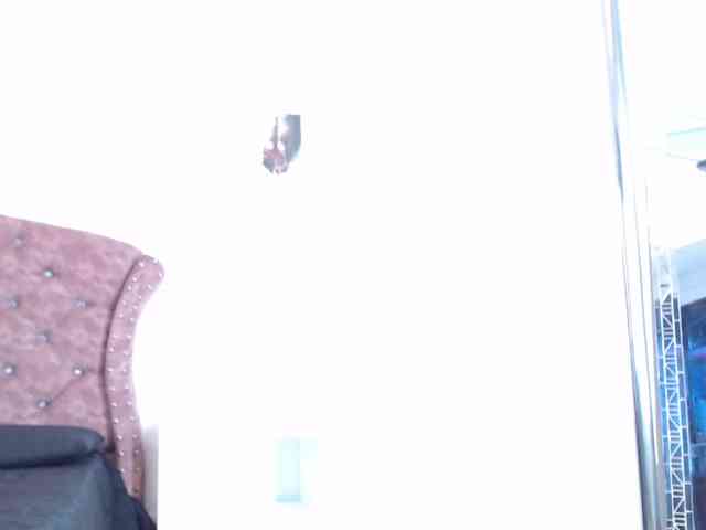 Tiffany-Baker webcam