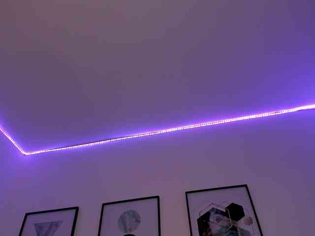habigail webcam