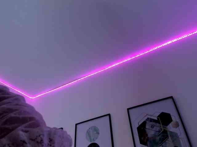 habigail webcam
