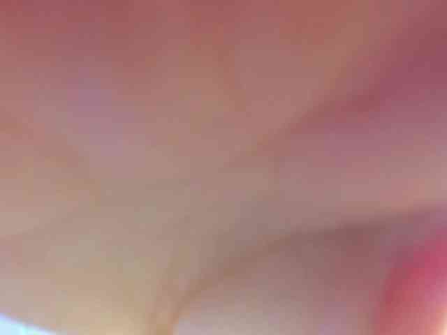 kitty-sweeety webcam