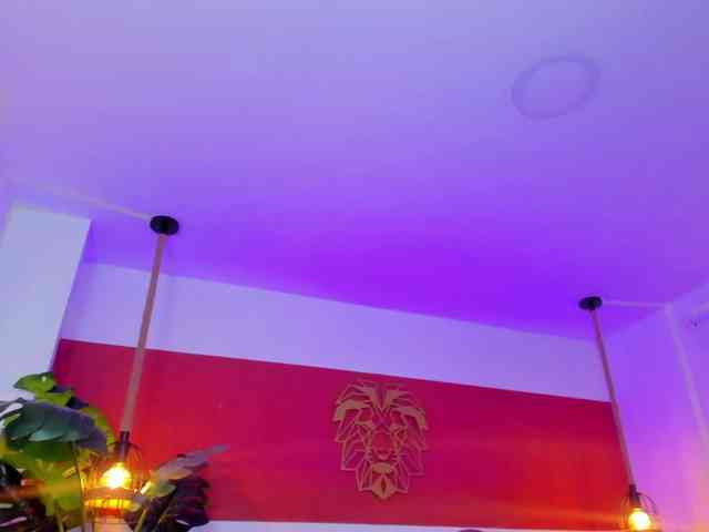 kitty-sweeety webcam