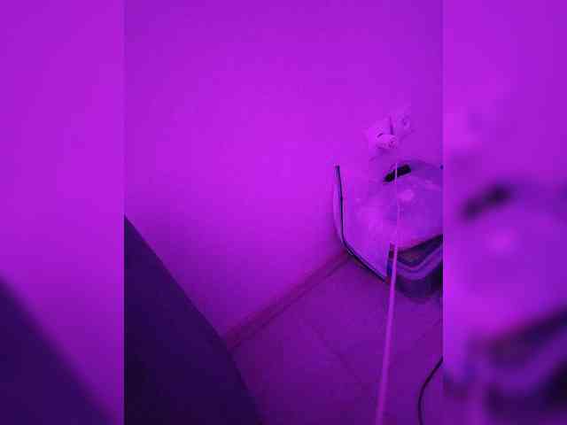 VLaDiMiRooM VLaDiMiRooM