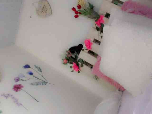 Kendall18 Live Webcam on BongaCams Kendall18 Live Webcam on BongaCams