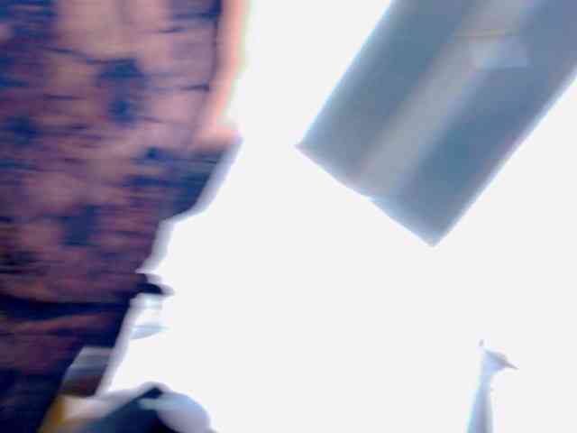 Angeliss