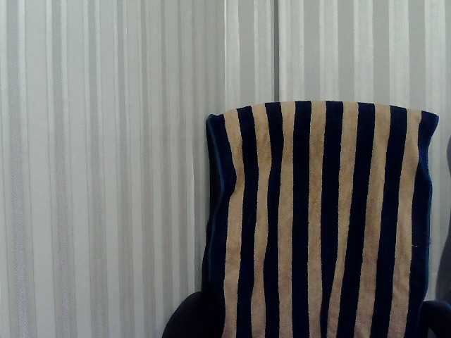 Preview of mavkas2025