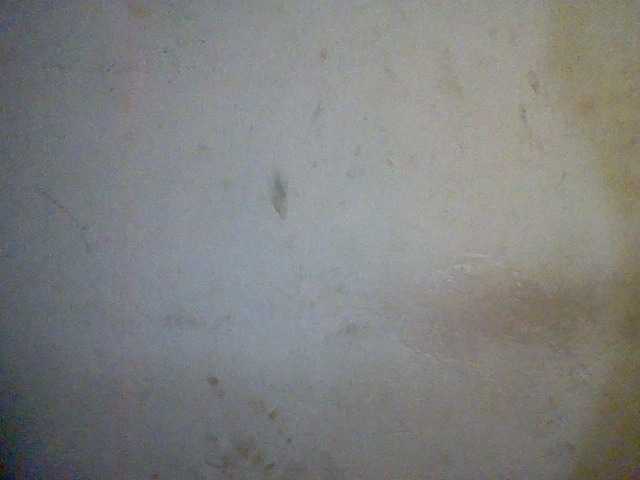 Preview of kortneysxx