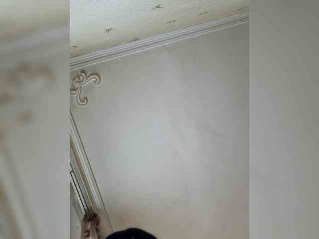 LilyLilyBG webcam
