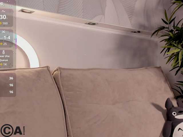 Preview of molly-platt