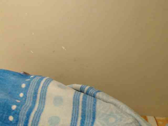 SexyEbony93 SexyEbony93