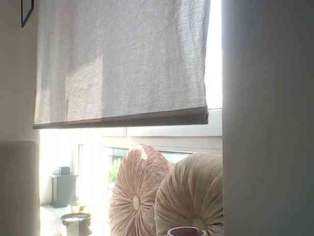 MileyStar webcam