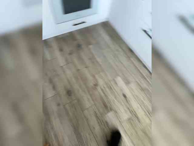 Light-cash webcam