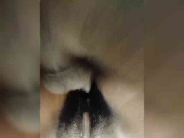 Thearo webcam
